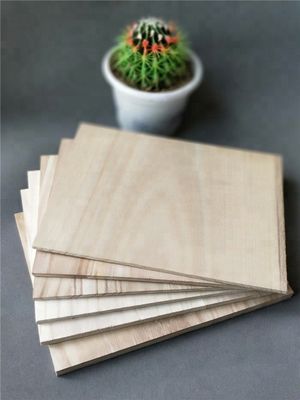 Des planches de taekwondo réfractables de 225*300 mm avec service de logo personnalisé