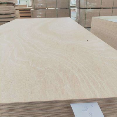 contreplaqué de peuplier pour les meubles modernes 1220x2440 mm 1250x2550 mm Taille