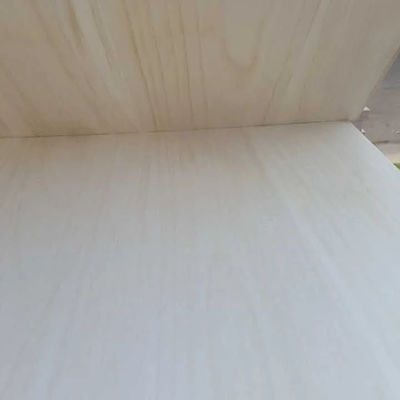 Taille personnalisée Paulownia Bois joint avec bois massif de couleur naturelle