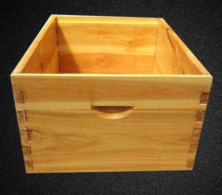 Outils d'apiculture Service après-vente Appui technique en ligne Capacité de solution de projet