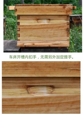 Outils d'apiculture Service après-vente Appui technique en ligne Capacité de solution de projet