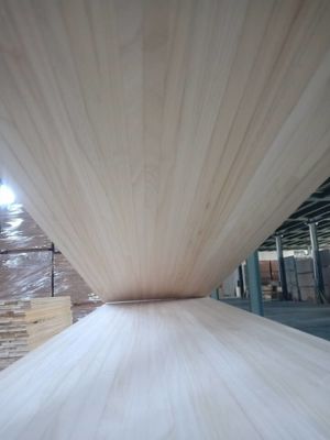 Carreaux de bois de snowboard pour 1500x480x12 ou taille personnalisée