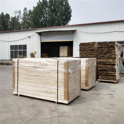 Bois de paulownia pour meubles Conception contemporaine et atelier Artisanat