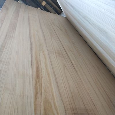 bois de paulownia taille personnalisée planches de bois blanchies sans nœuds 1220x2440mm